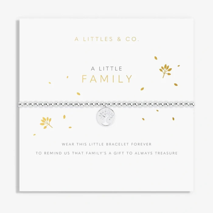 A Little Family silver-tone beaded bracelet with a tree-inspired charm and heartfelt family message card.