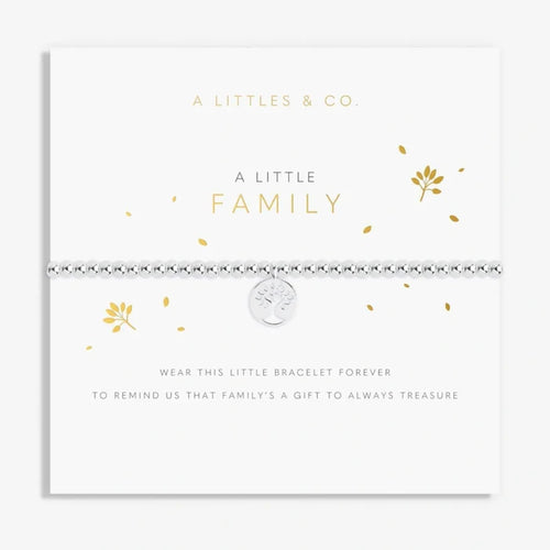A Little Family silver-tone beaded bracelet with a tree-inspired charm and heartfelt family message card.