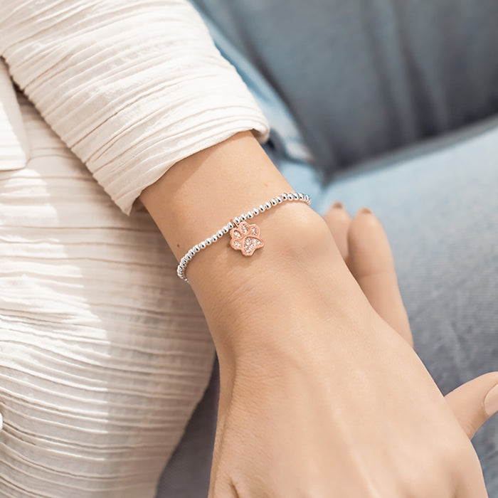Silver Beaded Bracelet On Wrist, With Paw Print Charm