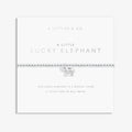 A Littles & Co. A Little Lucky Elephant bracelet with silver beaded stretch band and elephant charm displayed on keepsake card