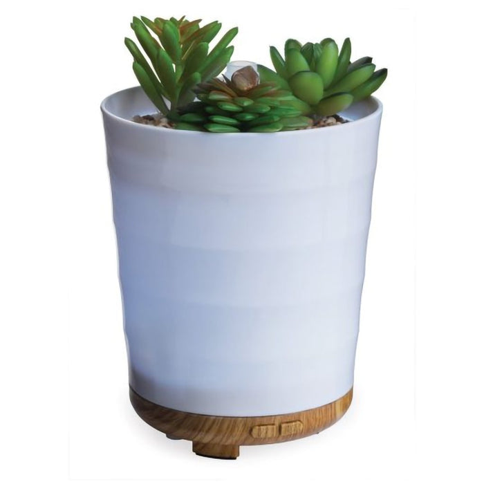 Airomé : Potted Succulent Medium Ultra SonicDiffuser - Airomé : Potted Succulent Medium Ultra SonicDiffuser