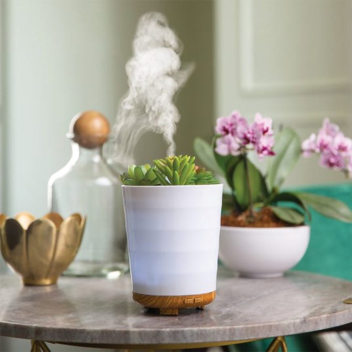 Airomé : Potted Succulent Medium Ultra SonicDiffuser - Airomé : Potted Succulent Medium Ultra SonicDiffuser