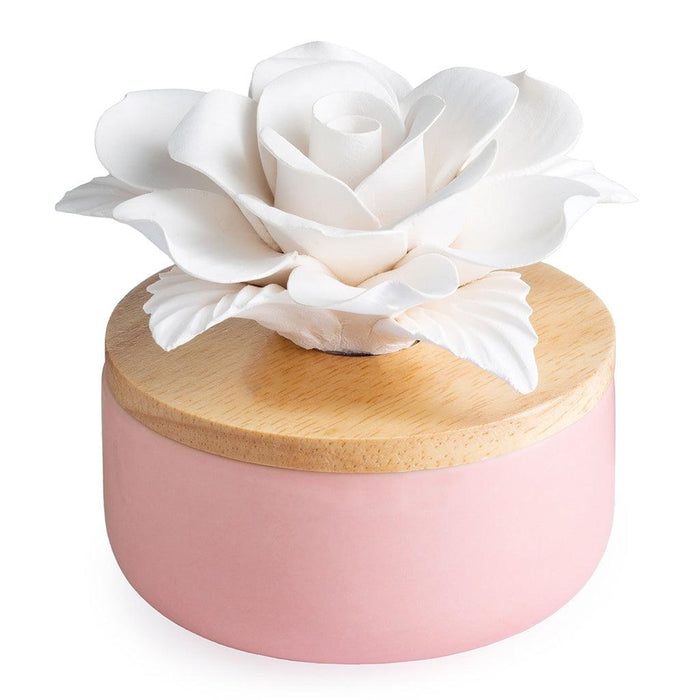 "Airomé : Rose Porcelain Diffuser -"