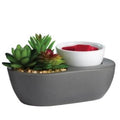 Airomé : Succulent ArtScents Wax Warmer - Airomé : Succulent ArtScents Wax Warmer