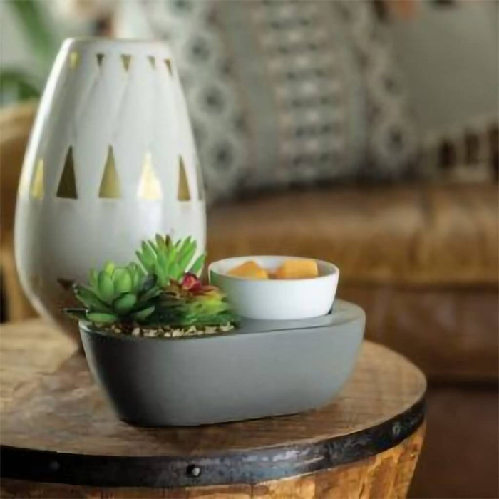 Airomé : Succulent ArtScents Wax Warmer - Airomé : Succulent ArtScents Wax Warmer
