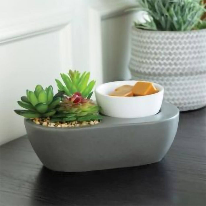 Airomé : Succulent ArtScents Wax Warmer - Airomé : Succulent ArtScents Wax Warmer