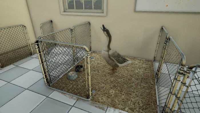Animal Doctor – PlayStation 4