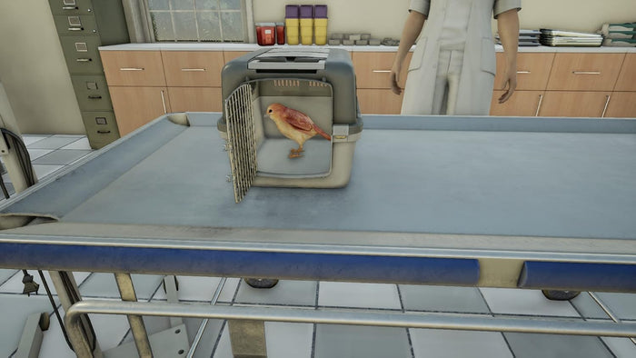 Animal Doctor – PlayStation 4