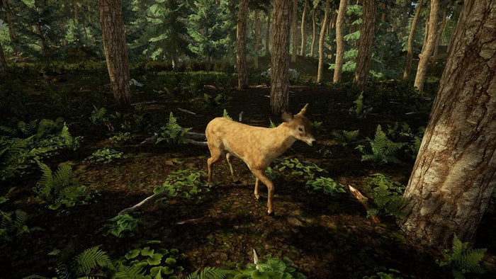 Animal Doctor – PlayStation 4