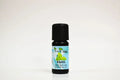 Bottle of basil essential oil on a white background