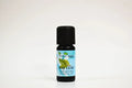 Bay leaf essential oil bottle on a white background