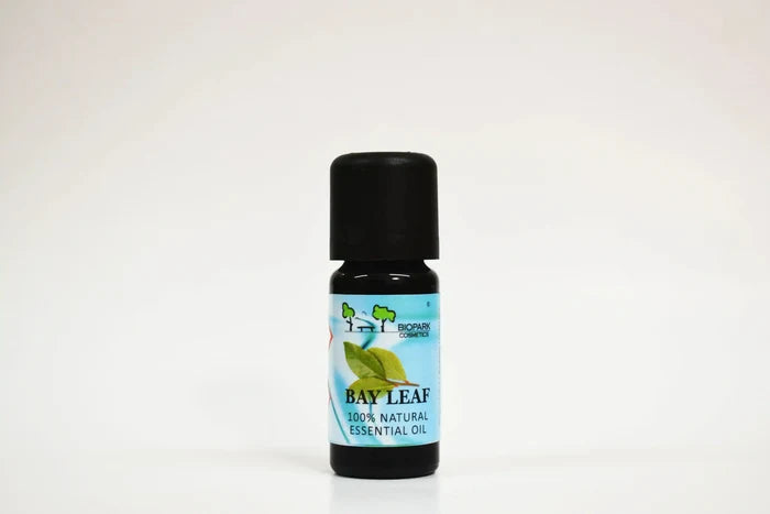 Bay leaf essential oil bottle on a white background