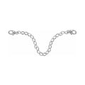 Brighton : Short Necklace Extender in Silver - 6" at Annie's Hallmark