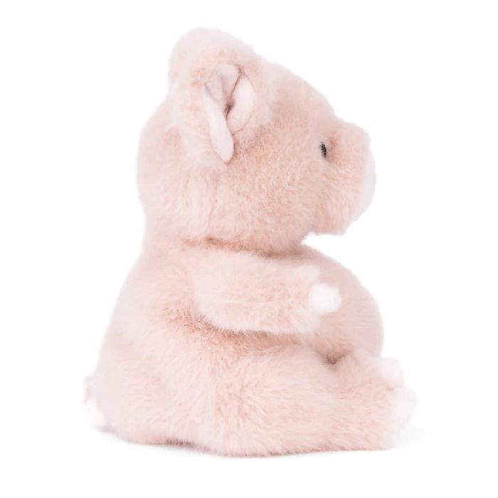 Shop in-store at Annie's Hallmark locations in Londonderry and Salem, NH, or explore our full selection online.