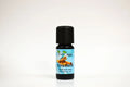 Bottle of cinnamon essential oil on a white background