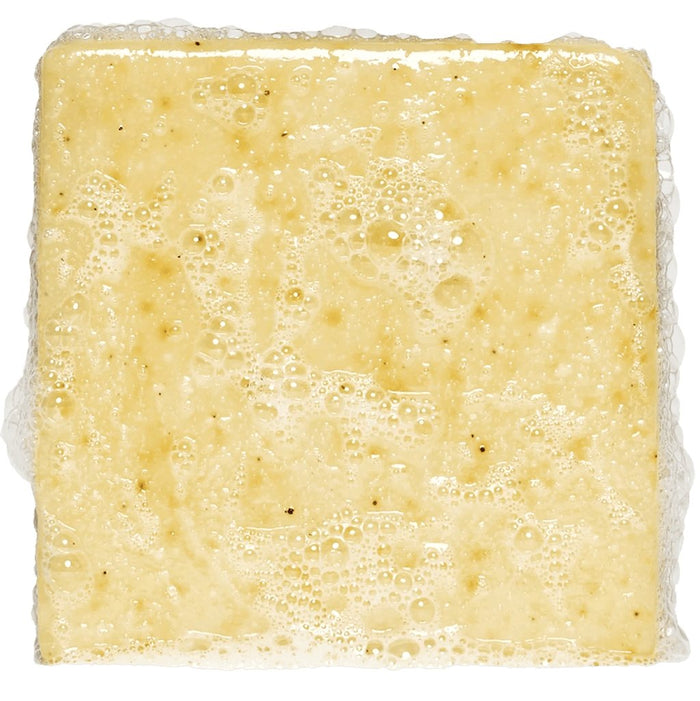 "Dr. Squatch : Summer Citrus in Bar Soap -"