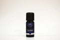 Bottle of Elite Oils Cajeput essential oil on a white background
