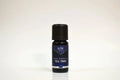 Bottle of Elite Oils Tea Tree essential oil on a white background