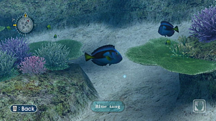 Endless Ocean  – Nintendo Wii Underwater Exploration Game