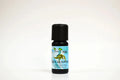 Bottle of eucalyptus essential oil on a white background