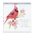 Your never alone with a Cardinal