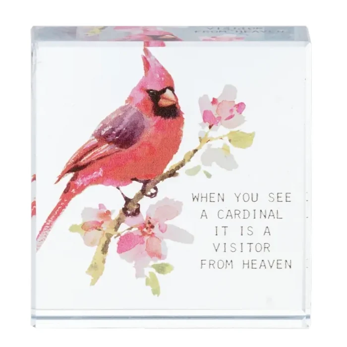 Your never alone with a Cardinal
