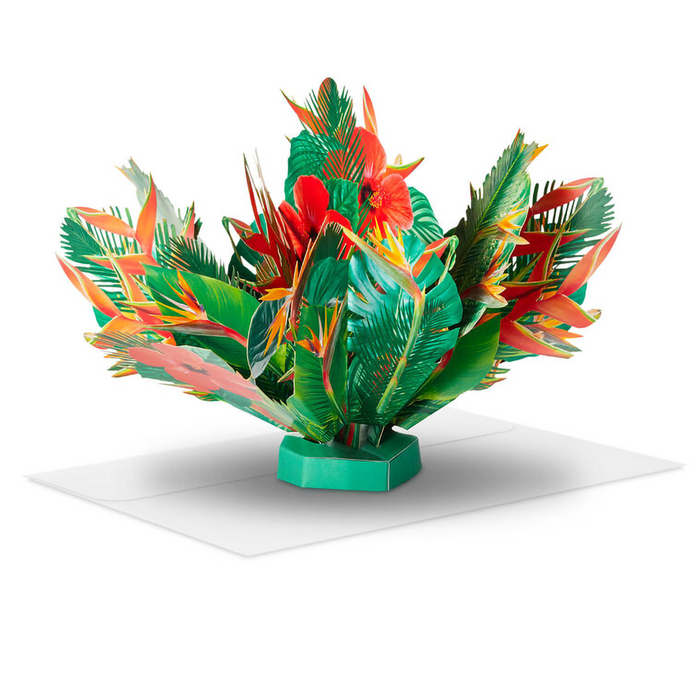 Tropical Flowers