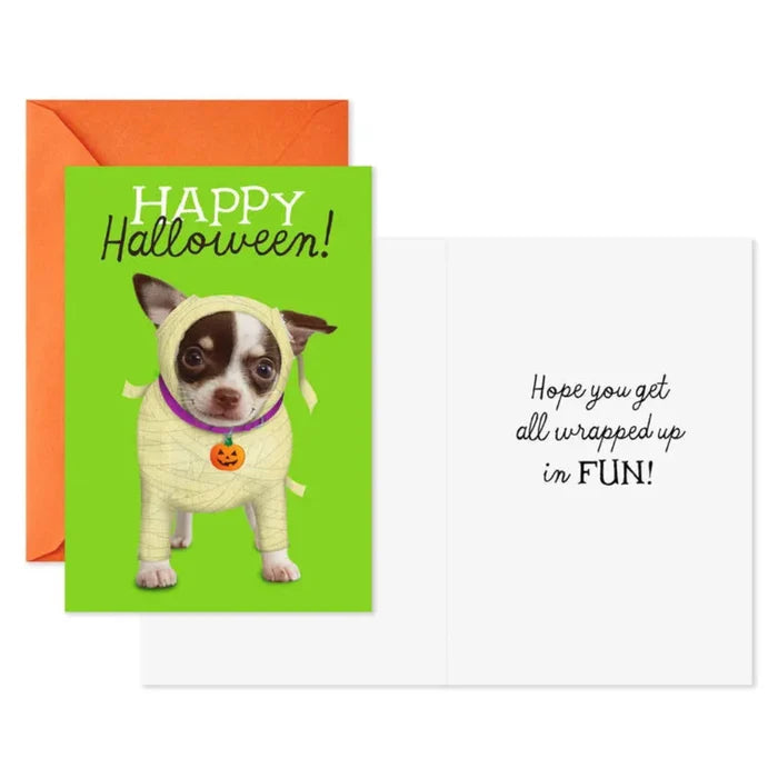 Halloween card with a dog in a costume and orange envelope on a white background