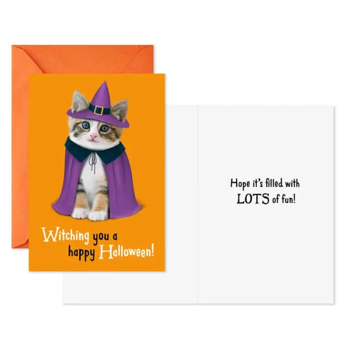 Halloween card with a cat in a witch costume on an orange background