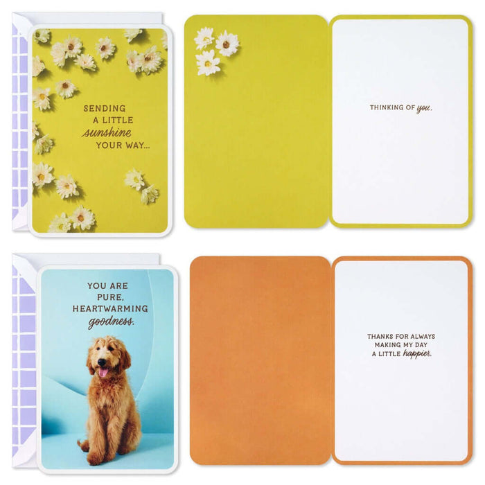 Set of greeting cards with various designs (daises, dog)  and messages on a white background