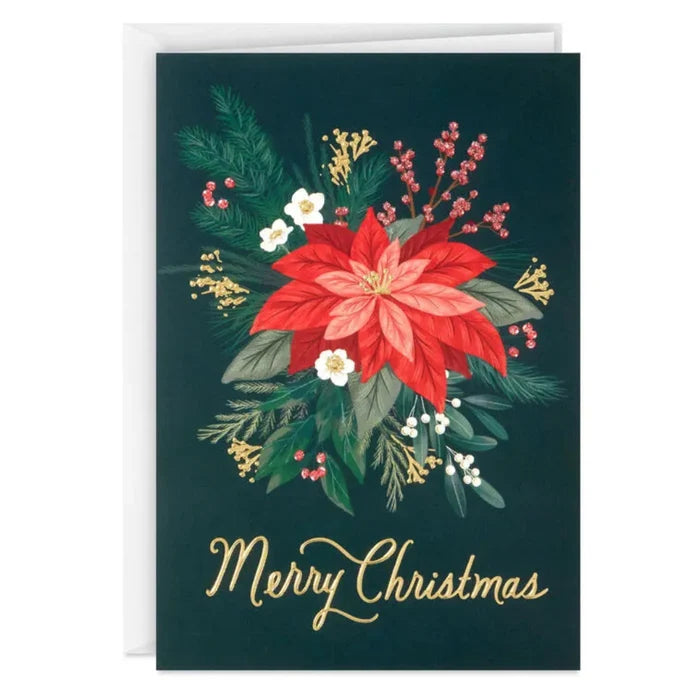 Christmas card with red poinsettia and greenery on a dark background