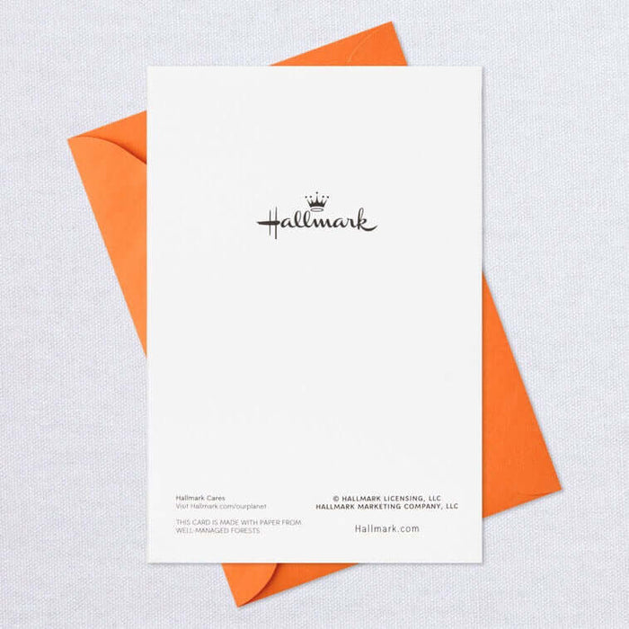 Hallmark : Jack-o'-Lanterns and Witches Assorted Halloween Cards, Pack of 8