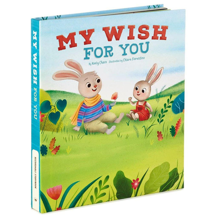 "Hallmark : My Wish For You Recordable Storybook, recordable books for grandparents"