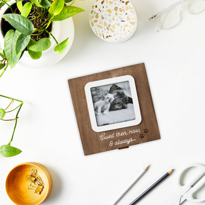 Hallmark : Then, Now and Always Pet Memory Box
