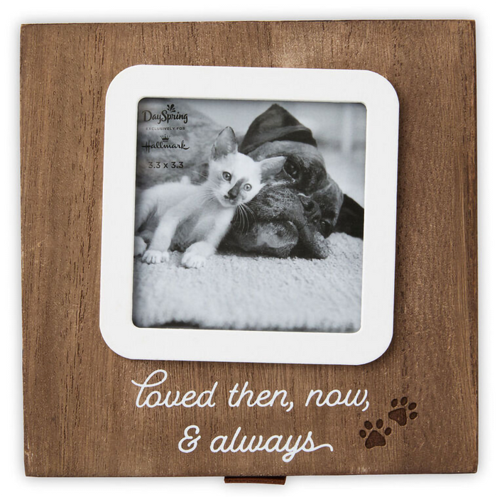 Hallmark : Then, Now and Always Pet Memory Box