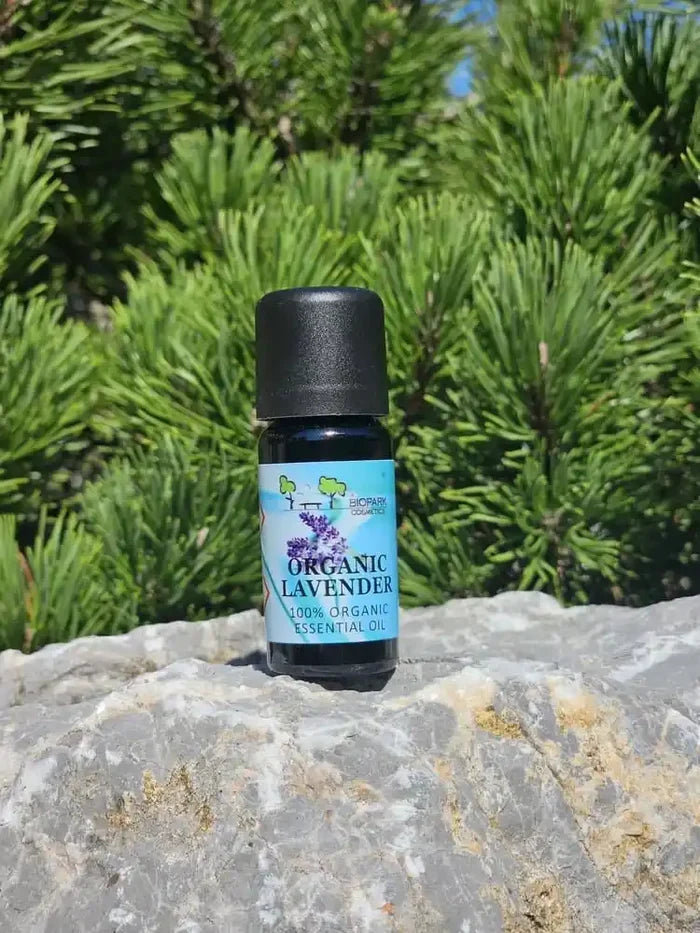A small bottle of Organic Lavender Essential Oil with a black cap and a light blue label, resting on a gray stone with green pine trees in the background.