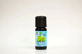 Bottle of Melissa essential oil with a black cap on a white background