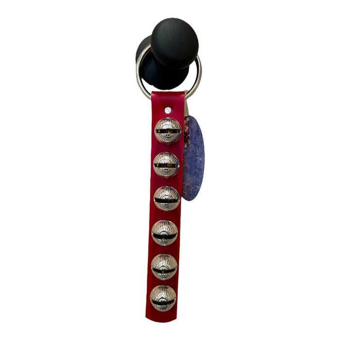 Red dog whistle with silver buttons on a white background