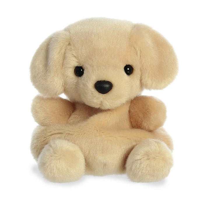 "all palm pals, palm pals collection, buy palm pals, palm pal, palm pal toys, where to find palm pals at Annie's Hallmark in Londonderry NH, where to buy palm pals and Annie's Hallmark Salem, NH"