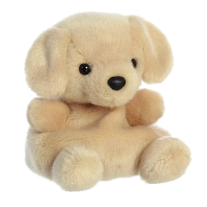 "all palm pals, palm pals collection, buy palm pals, palm pal, palm pal toys, where to find palm pals at Annie's Hallmark in Londonderry NH, where to buy palm pals and Annie's Hallmark Salem, NH"