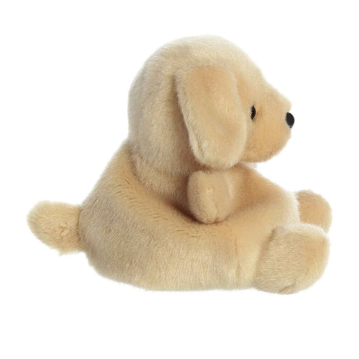 "all palm pals, palm pals collection, buy palm pals, palm pal, palm pal toys, where to find palm pals at Annie's Hallmark in Londonderry NH, where to buy palm pals and Annie's Hallmark Salem, NH"