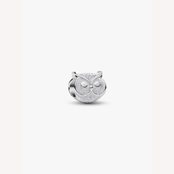 Silver owl-shaped charm on a white background