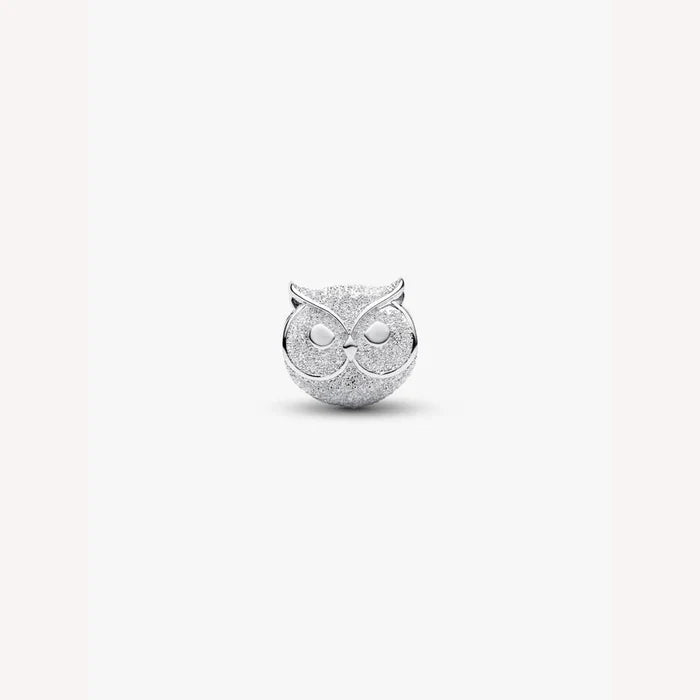 Silver owl-shaped charm on a white background