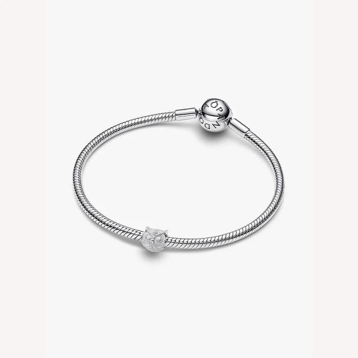 Silver bracelet with a heart-shaped charm on a white background