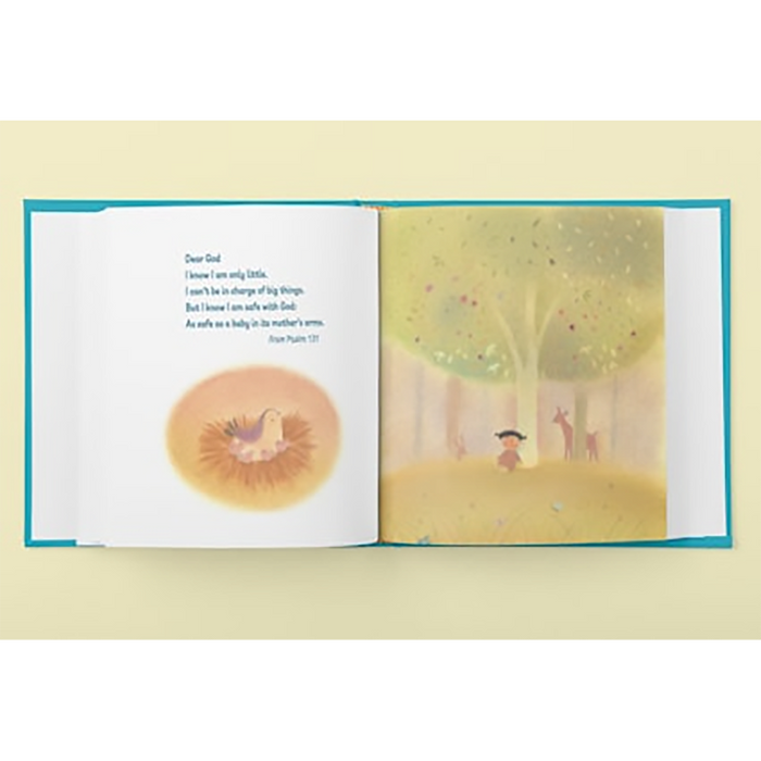 Paraclete Press : My Baptism Book — Board Book