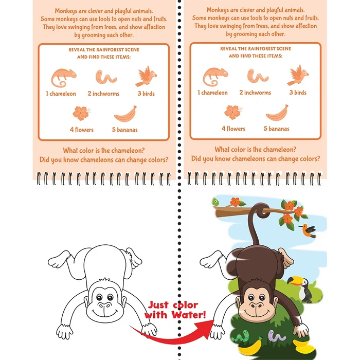 Educational children's book page with monkey-themed activities and coloring.