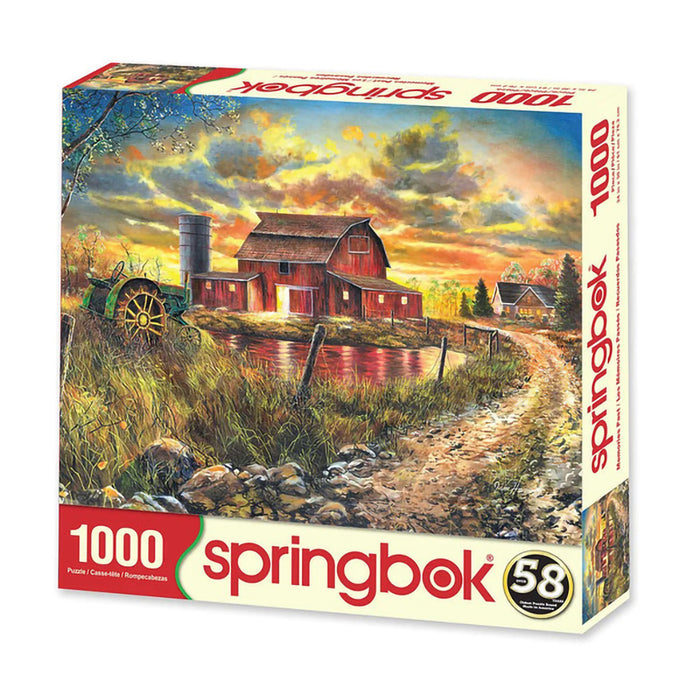 box view of the puzzle