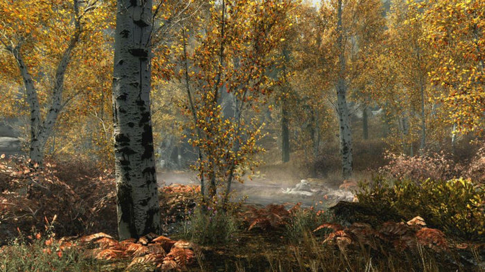 The Elder Scrolls V Skyrim Special Edition – Xbox One RPG Game Bethesda