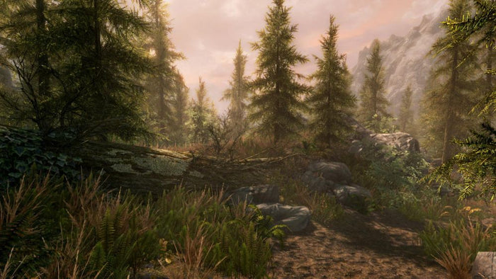 The Elder Scrolls V Skyrim Special Edition – Xbox One RPG Game Bethesda