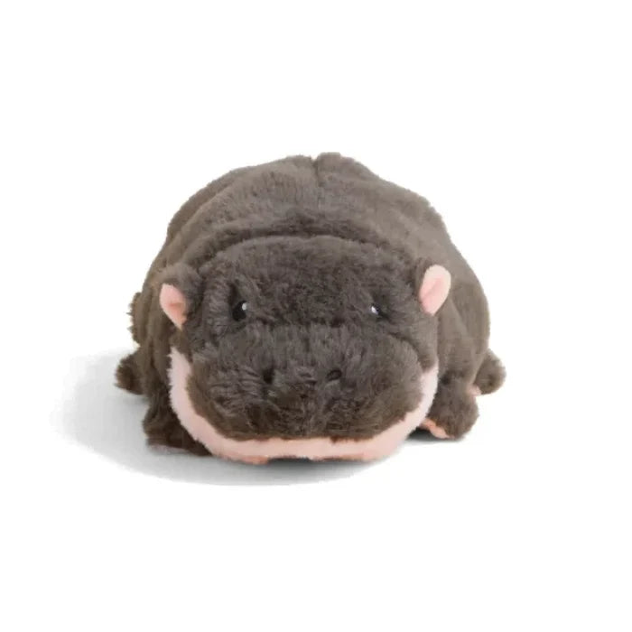 Cute baby hippo ready to be snuggled